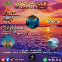 Cartel de viaje de Reino Natural a Oaxaca