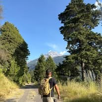 Senderista caminando por un bosque de montaña